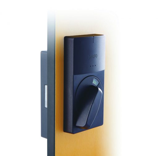 casillero electrónico control de accesos salto